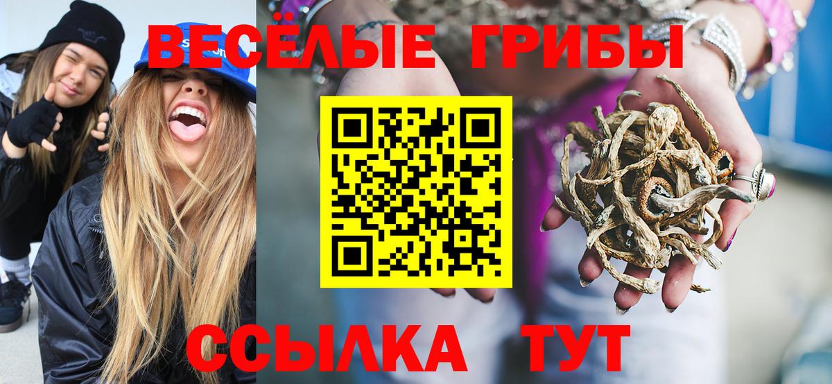 Саратов  Галлюциногенные грибы Psilocybe  Вход с VPN 
